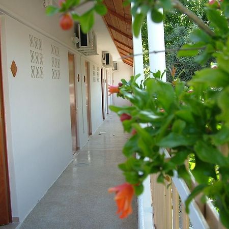 George'S Apartment Agia Marina  Pokoj fotografie