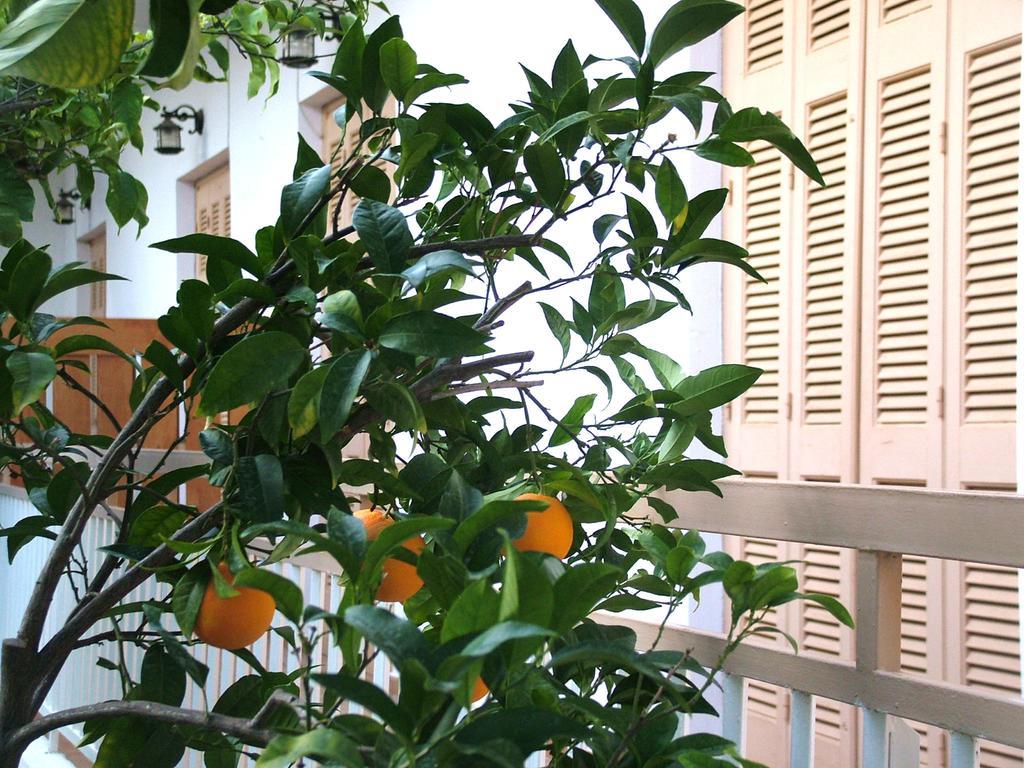 George'S Apartment Agia Marina  Pokoj fotografie