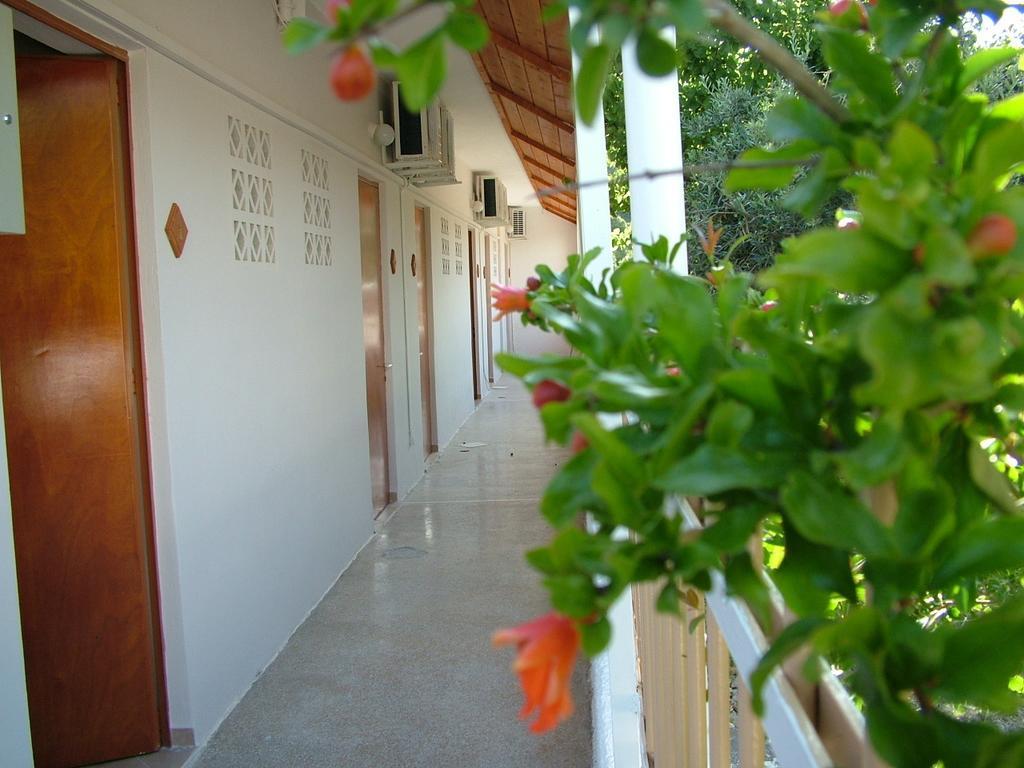 George'S Apartment Agia Marina  Pokoj fotografie