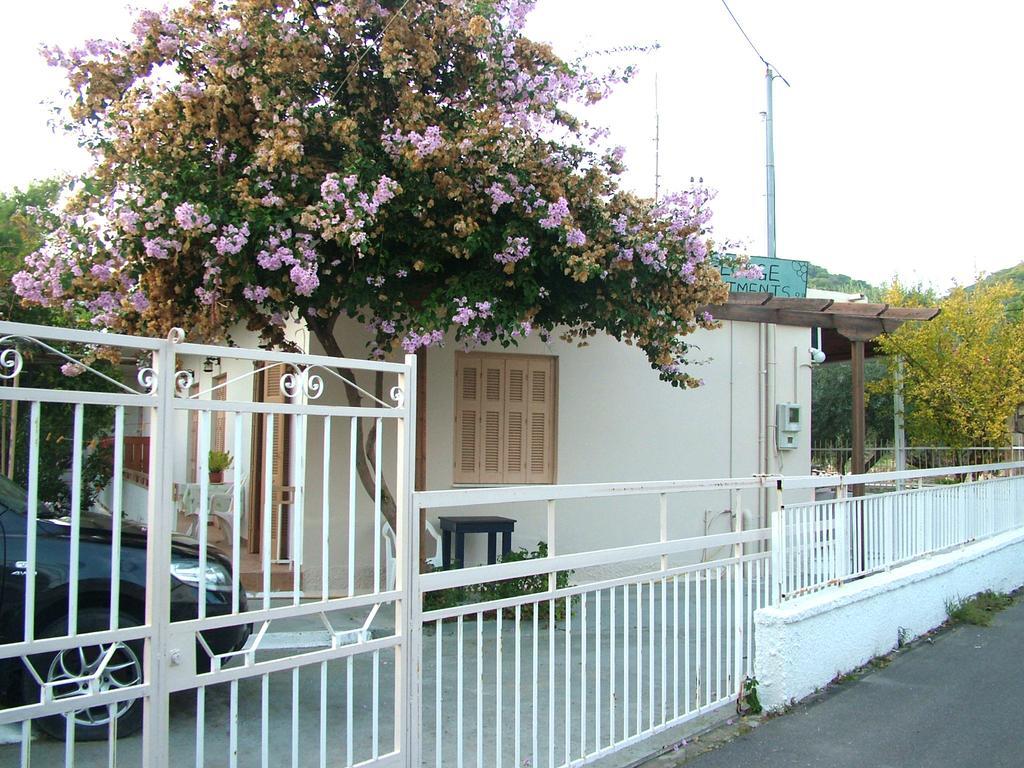 George'S Apartment Agia Marina  Pokoj fotografie